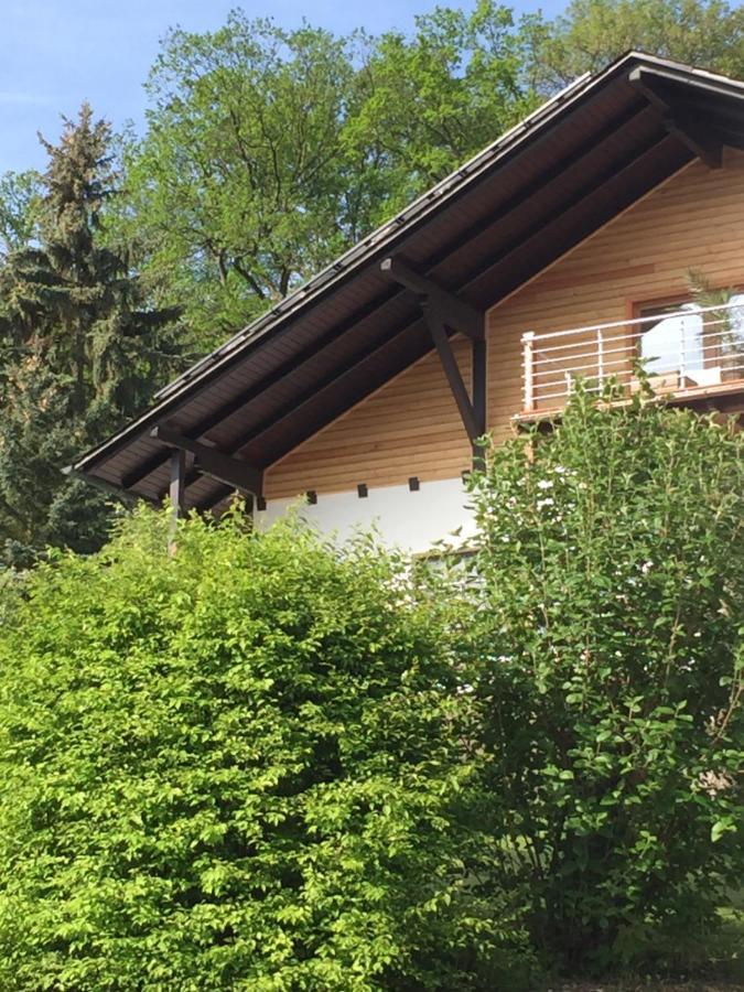 Gemuetliche Ferienwohnung Mit Pool Bei Jena Kahla  Ngoại thất bức ảnh